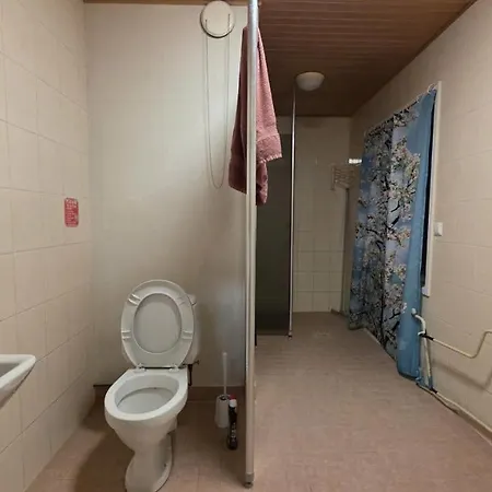 Ollinpolun Matkakoti Отель типа 