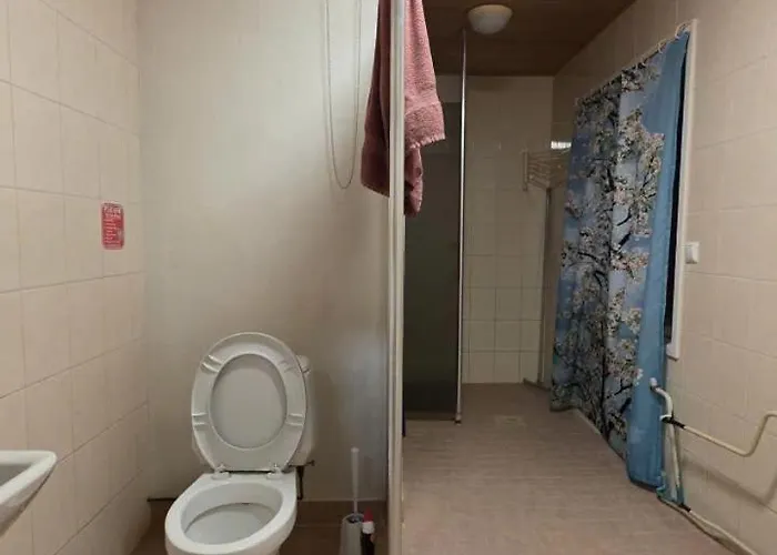 Ollinpolun Matkakoti Bed and breakfast Sulkava (Southern Savonia)